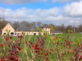 Percorso Marcia Incourt - #240318 - Piétrebais, Sart-Biez, Petit et Grand Haquedeau*** - Photo