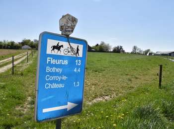 Tour Zu Fuß Gembloux - Balade Gembloux - Grand-Manil - Corroy-Le-Château - Vichenet - Gembloux - Photo