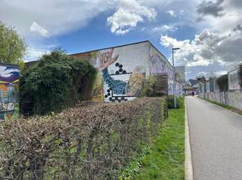 Percorso Marcia Haacht - Wespelaar - Leuven 22 km - Photo