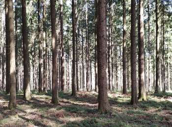 Excursión Bici eléctrica Trooz - Par Ensival - Photo
