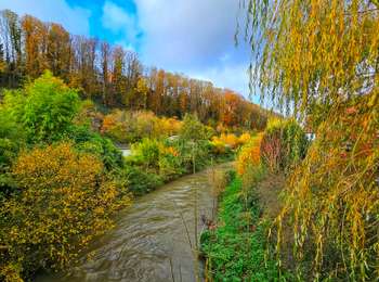 Tour Wandern Ham-sur-Heure-Nalinnes - La promenade du Pré al Rocq - Photo
