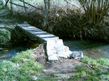 Tocht Te voet Saint-Aubin-des-Coudrais - les collines de St Aubin : hivers - Photo