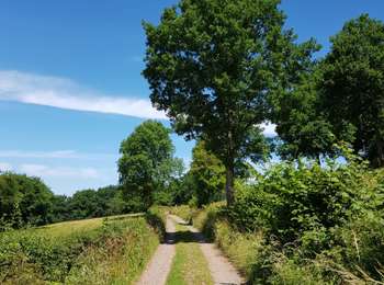 Trail Walking Sprimont - Banneux - Rouge Thier - Adzeux - Photo