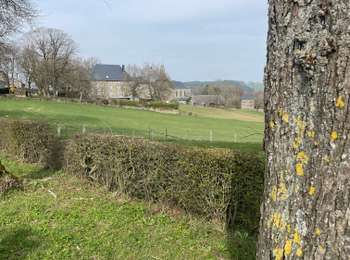 Percorso Marcia Trois-Ponts - Wanne (Trois pont)13 Km - Photo