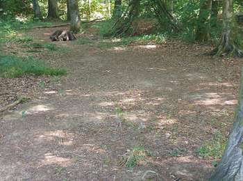 Randonnée Marche Arlon - Clairefontaine Steinfort - Photo