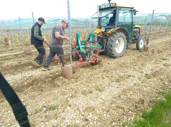 Trail Electric bike Jussy - Jussy 21042023 - Photo