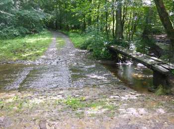 Randonnée Marche Saint-Hubert - RB-Lu-26_Saint-Hubert_via-racc-2 - Photo