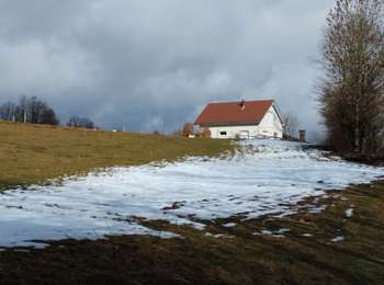 Trail Walking Les Planches-en-Montagne - foncine le haut par la languette  - Photo