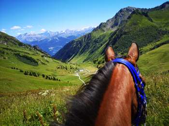 Trail Horseback riding Hauteluce - BEAUFORTAIN - Photo