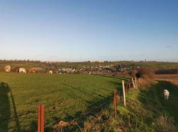 Tour Wandern Hautot-sur-Mer - hautot sur mer pourville - Photo