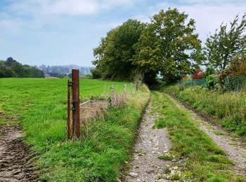 Trail Walking Fléron - Le vallon de la Julienne   - Photo