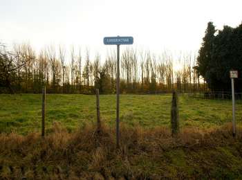 Percorso A piedi Tongeren - 's Herenelderen - Photo