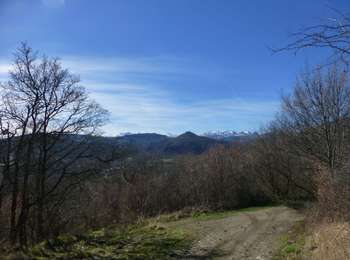 Percorso A piedi Grandeyrolles - Thones le jeune - Photo