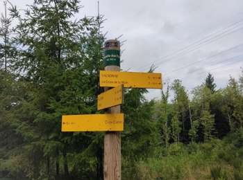Percorso Marcia Valsonne - la chapelle des fous - Photo