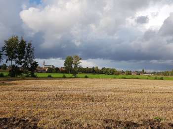 Trail Walking Brunehaut - Les pommes - Photo