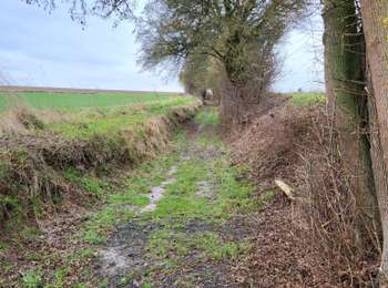 Tour Wandern Gembloux - Sauveniere 050226 - Photo