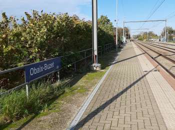 Trail Walking Pont-à-Celles - Buzet - Rosseignies - Obaix - Buzet - Photo