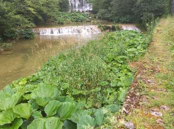 Trail Walking Nozeroy - Source de l'Ain 15.7.24 - Photo