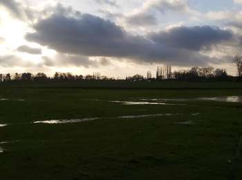 Tocht Stappen Perwijs - Perwez  - Photo
