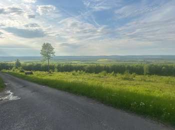 Trail Walking Breurey-lès-Faverney - Le Chaumont  - Photo