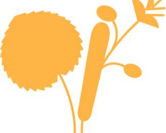 Trail Walking Trooz - Balade du tilleul  - Photo