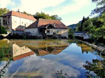 Trail Walking Bourg-de-Sirod - Syam-Les_Commères - Photo