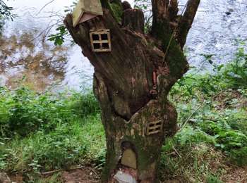 Tocht Stappen Lierneux - Les prés de la Lienne  - Photo