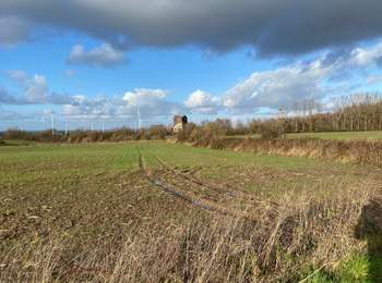 Trail Walking Dour - Wiherie 18,4 km - Photo