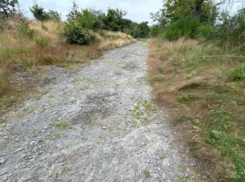 Tour Wandern Feitweiler - Tintange 25,3 km - Photo