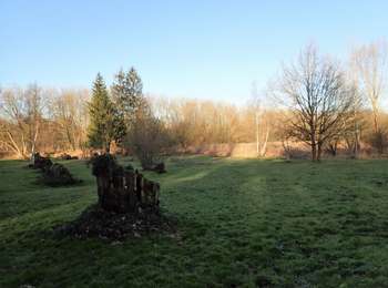 Tocht Stappen Graven - #210224 - Rés. nat. Florival, étang de Pécrot, Sept Bonniers - Photo