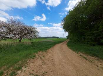 Trail Walking Fontaine-la-Gaillarde - 220501 Fontaine la Gaillarde-01 - Photo