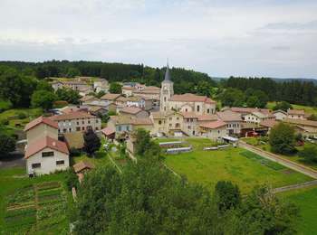 Percorso A piedi Saint-Bonnet-le-Bourg - L'Etang de Marchaud - Photo