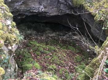 Trail Walking Noroy-le-Bourg - Circuit du veuvey prolongé  - Photo