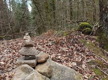 Trail Walking Fougerolles-Saint-Valbert - 09-04-22 moulin Courbette-ermitage...  - Photo
