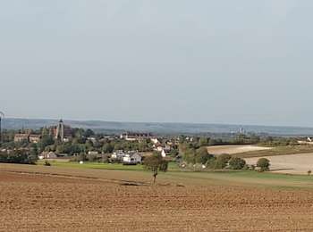 Trail Walking Champigny - Champigny 231011 - Photo