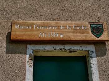 Randonnée Marche Saint-Agnan-en-Vercors - Les Rancs de Charles - Vercors - La Coche - Photo