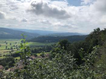 Trail Walking Gigny - Gigny Andelot - Photo