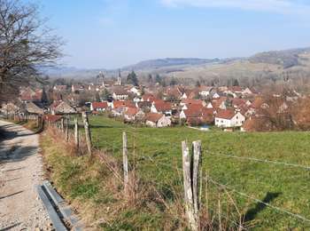 Trail Walking Château-Chalon - Château-Chalon boucle 11km - Photo