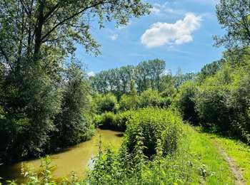 Trail Walking Hannut - balade_de_la_mouhagne-1 2 - Photo