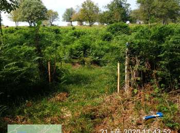 Percorso 4x4 Picherande - Picherande - Photo