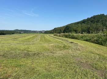 Trail Walking Châtelet - GR 1666 partie 2 - Châtelet Roux 35 km - Photo