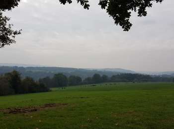 Trail Walking Ferrières - Logne (Vieuxville) - Izier - Ferrières - My - Photo