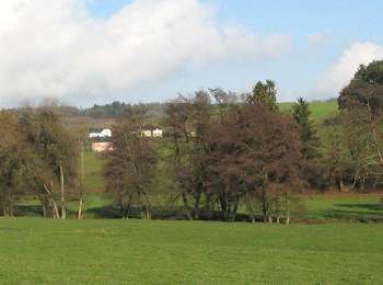 Trail On foot Attert - Nothomb - Au fil de l'eau - Photo