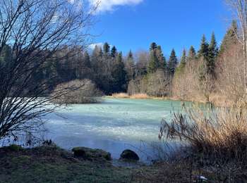 Trail Walking Chaux-des-Crotenay - Autour du plateau de chaux des Crotenay - Photo