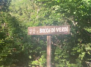 Trail Walking Vivario - Vizzavona col Vernet - Photo