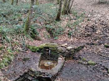 Trail Nordic walking Amange - amange haut parking - Photo