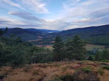 Randonnée Trail Saint-Pons-de-Thomières - jusqu'au sagnes - Photo