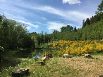 Excursión Bici de carretera Bütgenbach - Ravel Butchenbach Malmedy - Photo