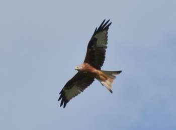 Percorso Marcia Herve - 20220919 - Herve 6 Km - Photo