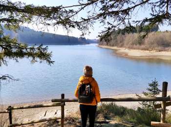 Trail Walking Bütgenbach - Le tour du lac de Bütgenbach  - Photo